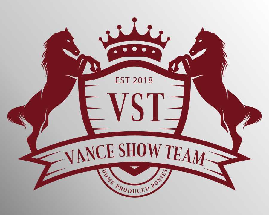 Team_Vance_logo_design